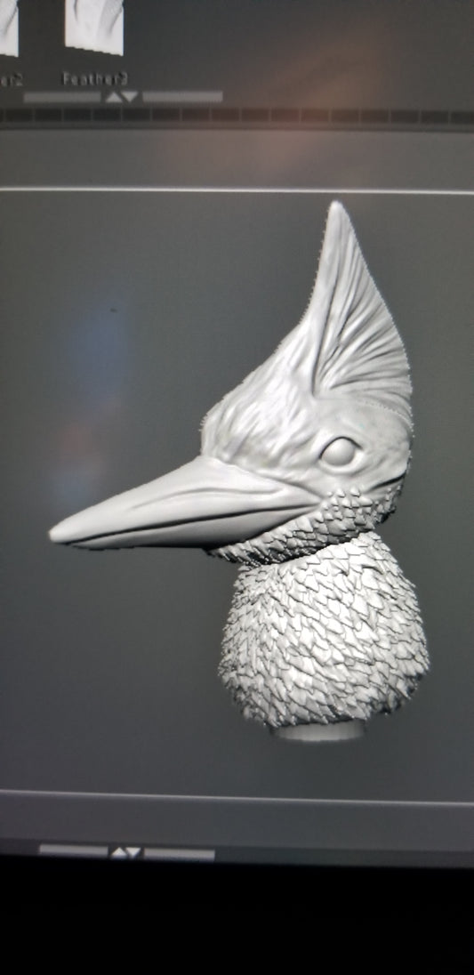 Ivory Billed Woodpecker Head Unpainted