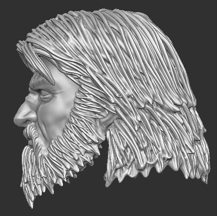 Rugged Paladin Head Only